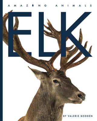 Elk - Valerie Bodden