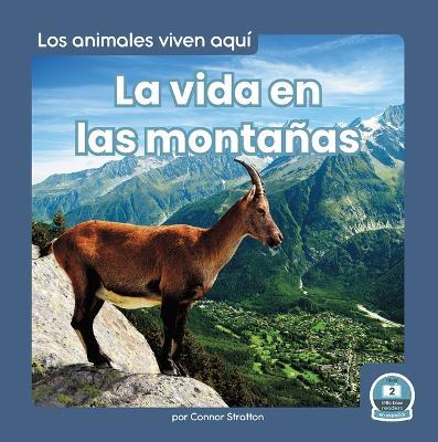 La Vida En Las Monta�as (Life in the Mountains) - Connor Stratton