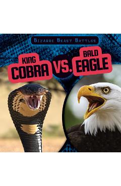 Poza produsului King Cobra vs. Bald Eagle - Natalie Humphrey