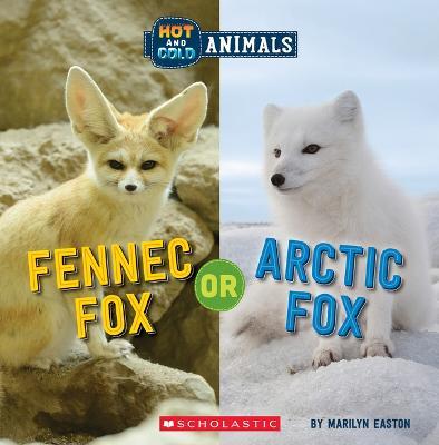 Fennec Fox or Arctic Fox (Wild World) - Marilyn Easton