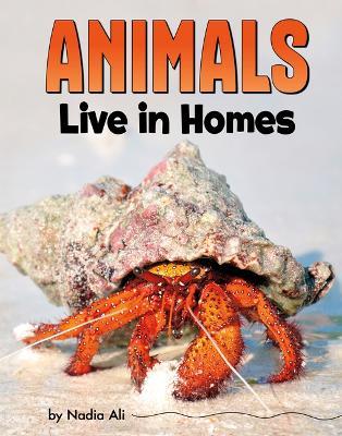 Animals Live in Homes - Nadia Ali