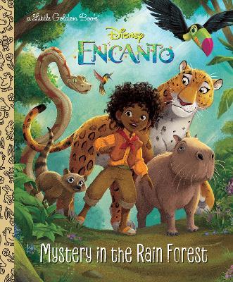 Mystery in the Rain Forest (Disney Encanto) - Susana Illera Martínez