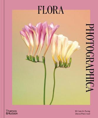 Flora Photographica: The Flower in Contemporary Photography - William A. Ewing