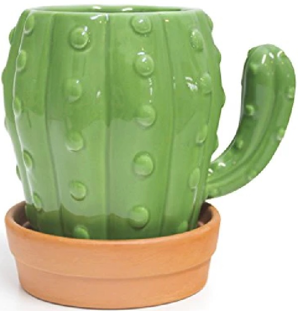 Cana: Cactus