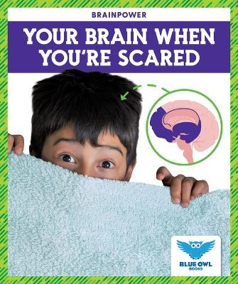 Your Brain When You're Scared - Abby Colich