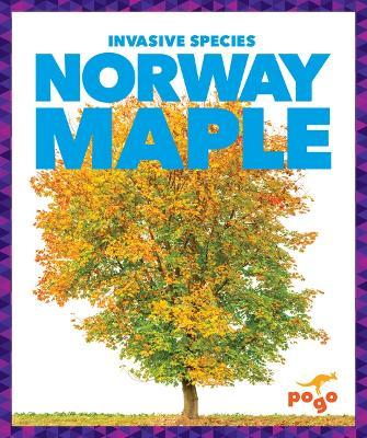 Norway Maple - Alicia Z. Klepeis