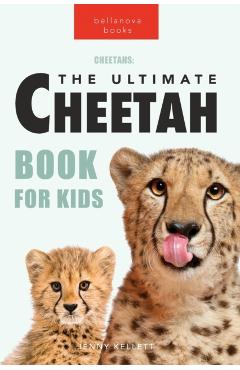 Cheetahs: 100+ Amazing Cheetah Facts, Photos, Quiz + More - Jenny Kellett