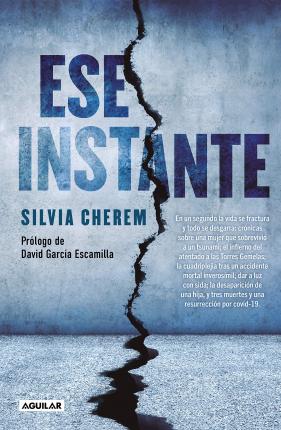 Ese Instante / That Instant - Silvia Cherem