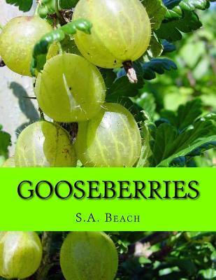 Gooseberries - Roger Chambers
