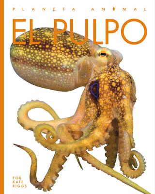 El Pulpo - Kate Riggs