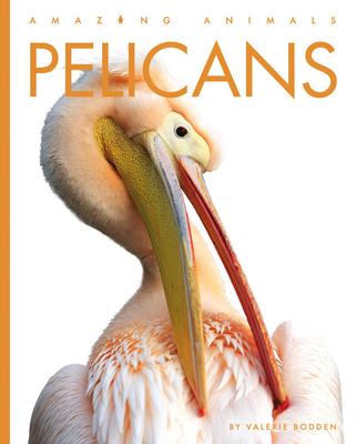 Pelicans - Valerie Bodden