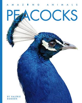 Peacocks - Valerie Bodden