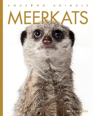 Meerkats - Kate Riggs