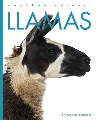 Llamas - Valerie Bodden