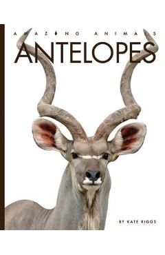 Coperta cărții 'Antelopes - Kate Riggs'