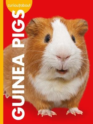 Curious about Guinea Pigs - Alissa Thielges