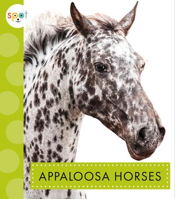 Appaloosa Horses - Alissa Thielges