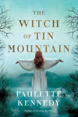 The Witch of Tin Mountain - Paulette Kennedy