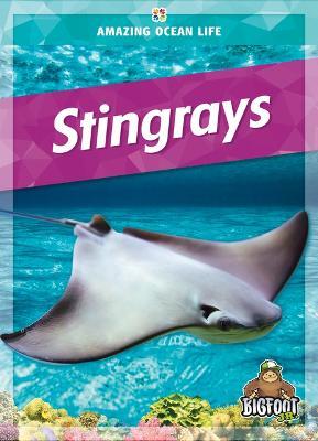 Stingrays - Colleen Sexton