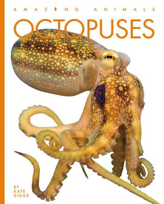 Octopuses - Kate Riggs