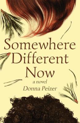 Somewhere Different Now: Coming of Age, Interracial Friendship, and the Search for Courage - Donna Peizer