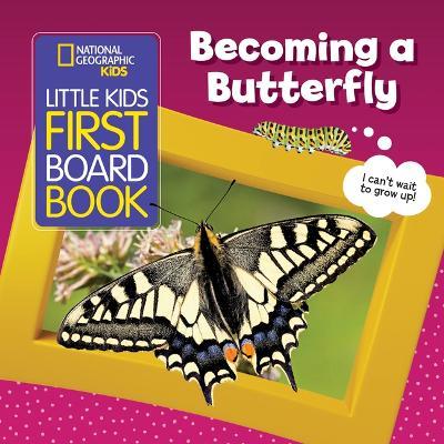 Little Kids First Board Book: Becoming a Butterfly - Ruth Musgrave