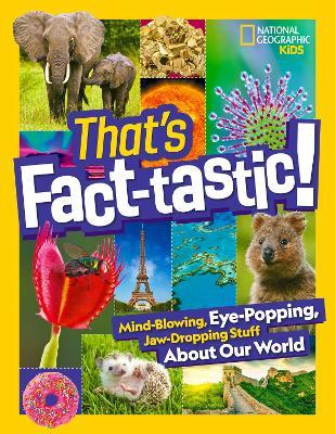 That's Fact-Tastic!: Mind-Blowing, Eye-Popping, Jaw-Dropping Stuff about Our World - National Geographic