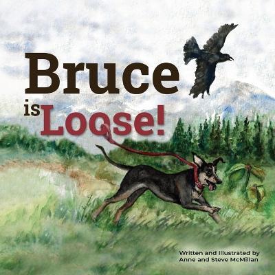 Bruce is Loose! - Anne Mcmillan