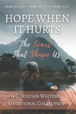 Hope When it Hurts: The Scars that Shape Us: A Christian Writers' Collection (LARGE PRINT EDITION) - Michael Lacey