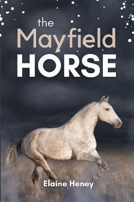 The Mayfield Horse - Book 3 in the Connemara Horse Adventure Series for Kids The Perfect Gift for Children age 8-12 - Elaine Heney