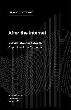 After the Internet: Digital Networks Between Capital and the Common - Tiziana Terranova