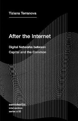 After the Internet: Digital Networks Between Capital and the Common - Tiziana Terranova