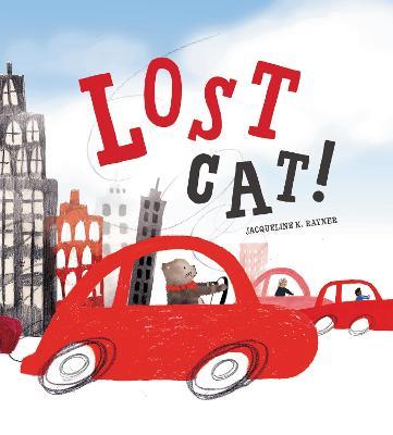 Lost Cat! - Jacqueline K. Rayner