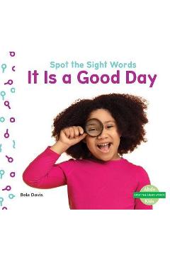 Coperta cărții 'It Is a Good Day - Bela Davis'