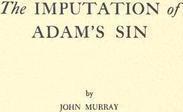 Imputation of Adam's Sin - John Murray