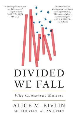 Divided We Fall: Why Consensus Matters - Alice M. Rivlin