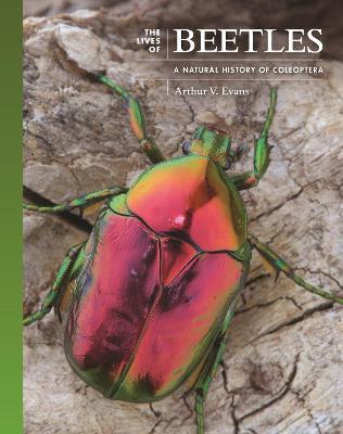 The Lives of Beetles: A Natural History of Coleoptera - Arthur V. Evans