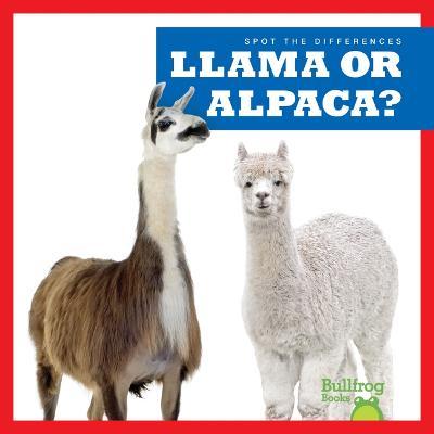 Llama or Alpaca? - Jamie Rice