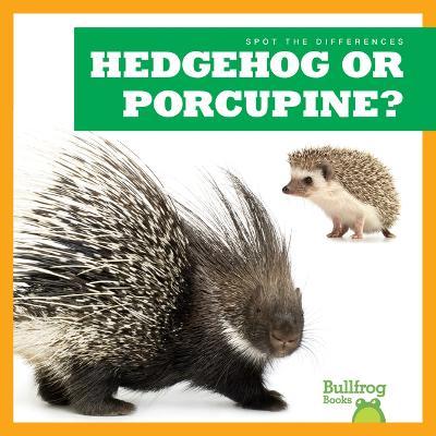 Hedgehog or Porcupine? - Jamie Rice