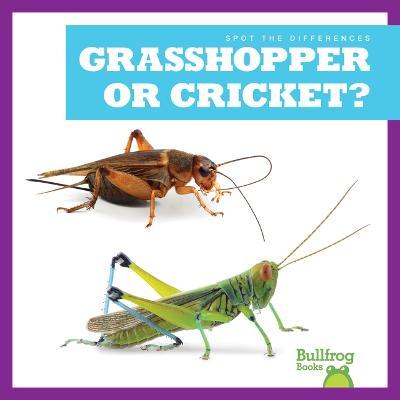 Grasshopper or Cricket? - Jamie Rice