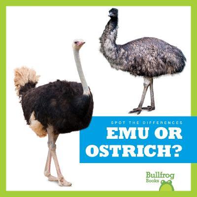 Emu or Ostrich? - Jamie Rice