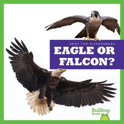 Eagle or Falcon? - Jamie Rice
