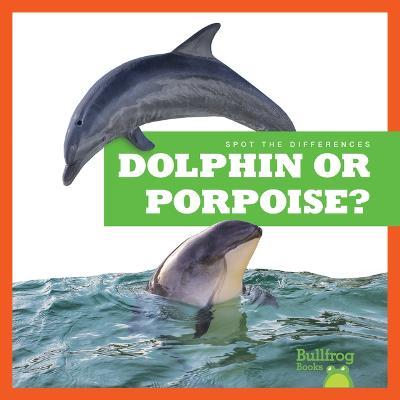 Dolphin or Porpoise? - Jamie Rice