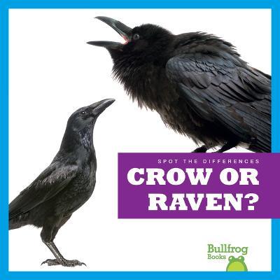 Crow or Raven? - Jamie Rice