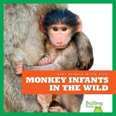 Monkey Infants in the Wild - Marie Brandle