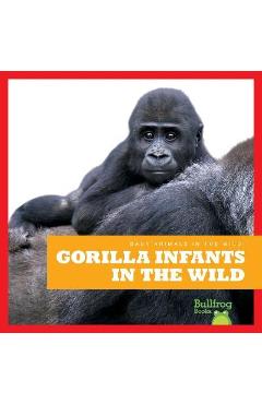 Poza produsului Gorilla Infants in the Wild - Marie Brandle