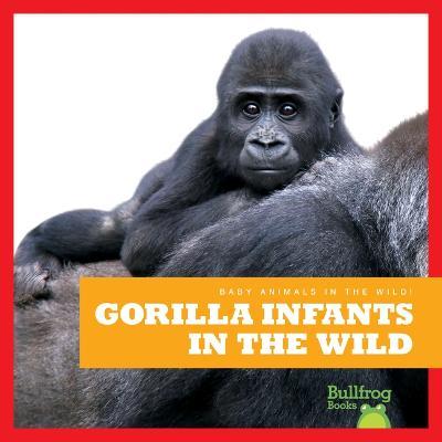 Gorilla Infants in the Wild - Marie Brandle