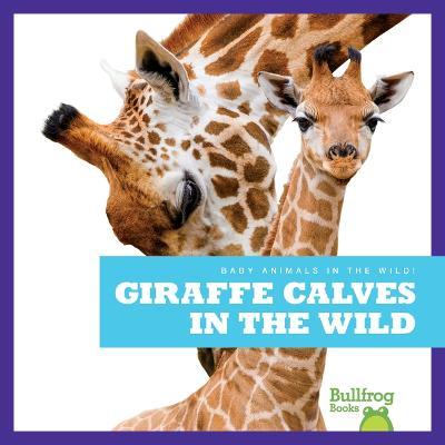 Giraffe Calves in the Wild - Marie Brandle