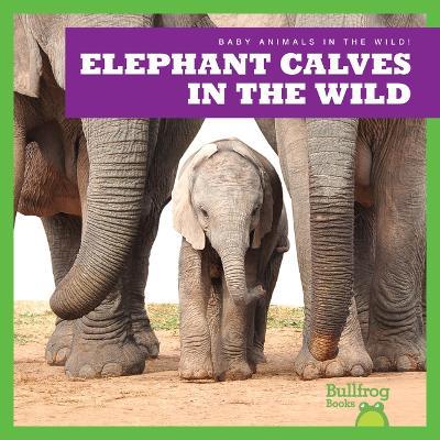 Elephant Calves in the Wild - Marie Brandle