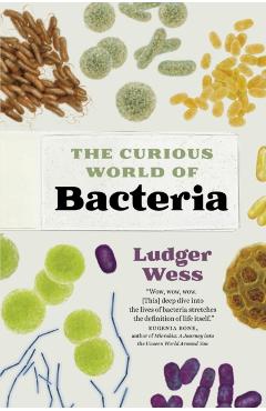 The Curious World of Bacteria - Ludger Wess